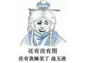 戰五渣[網路流行語]