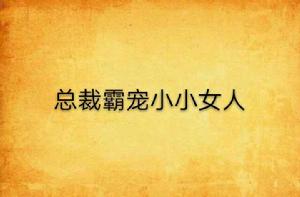 總裁霸寵小小女人