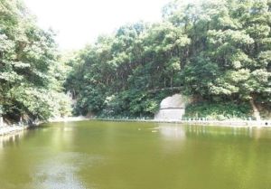 金鶚公園水上樂園 金鶚公園水上樂園