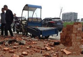 1997年學生用磚頭砸死官員事件 1997年學生用磚頭砸死官員事件