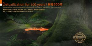 富萜樟芝 富萜樟芝