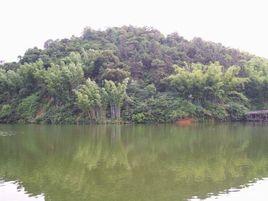 天鹿湖森林公園