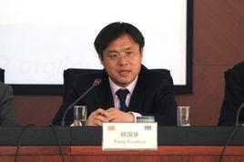 楊國華[清華大學法學院教授]