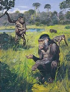 臘瑪古猿 臘瑪古猿