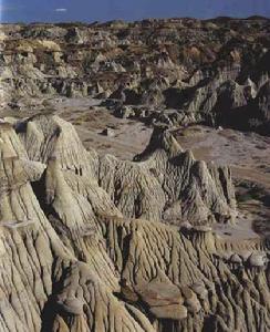 加拿大艾伯塔省恐龍公園 加拿大艾伯塔省恐龍公園