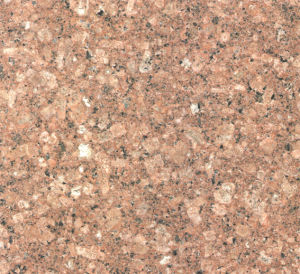 Lilac Yellow Lilac Yellow