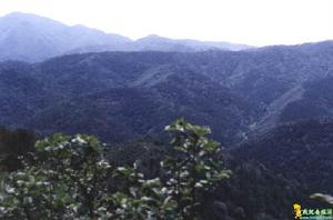 大黑山自然保護區