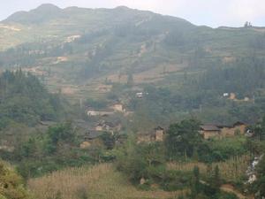 石撈塘自然村 石撈塘自然村