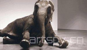 《裝死；真實時間》