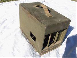 美國軍用鴿 美國軍用鴿