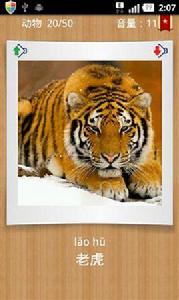 識字卡片動物篇 識字卡片動物篇