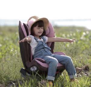 《汽車用兒童安全座椅安全消費指南》