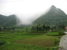 洪關苗族鄉 洪關苗族鄉