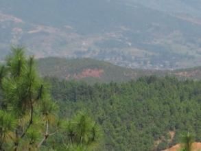 松包林村 松包林村