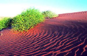 （圖）渾善達克沙漠