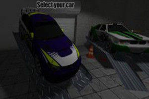 計時拉力賽 計時拉力賽