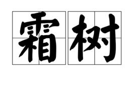 霜樹 霜樹