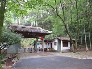 靈棲村 靈棲村