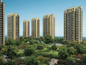 天和壹號 天和壹號