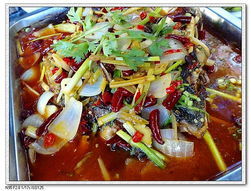 醋汁烤魚 醋汁烤魚