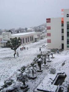 安慶市楊橋中學 安慶市楊橋中學