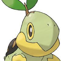 小火焰猴 小火焰猴