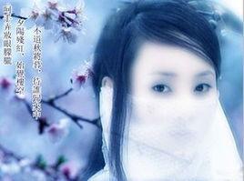 韶華清蔓 韶華清蔓