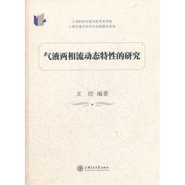 氣液兩相流動態特性的研究 氣液兩相流動態特性的研究