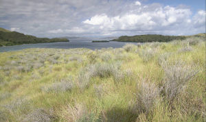 科莫多國家公園