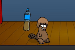 賈斯汀海狸 賈斯汀海狸