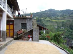 朱擺烏自然村 朱擺烏自然村