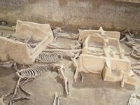 天子駕六博物館