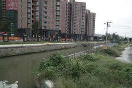 綠地新里威廉公館 綠地新里威廉公館