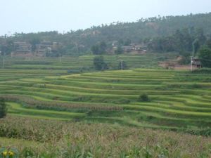 大東莊村 大東莊村