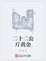 二十二公斤黃金 二十二公斤黃金