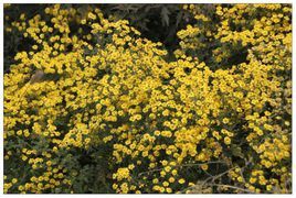 秋日二絕 秋日二絕