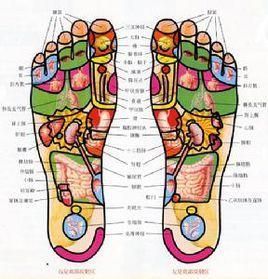 足部穴位 足部穴位