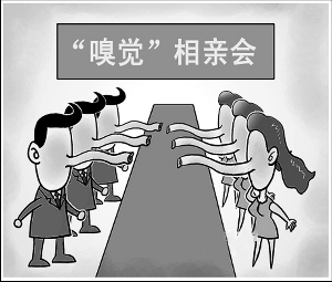 費洛蒙派對 費洛蒙派對