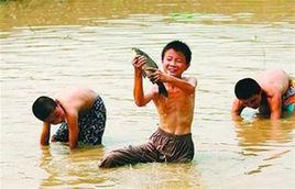 摸魚[詞語解釋]