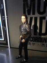 杜莎夫人蠟像館[上海杜莎夫人蠟像館]