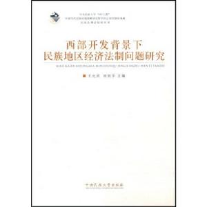 西部開發背景下民族地區經濟法制問題研究
