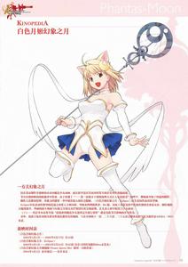 白色月姬 白色月姬