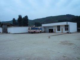 龍樹鄉[雲南省魯甸縣龍樹鄉]