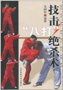 技擊八打絕殺術