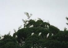 汀州森林公園 汀州森林公園