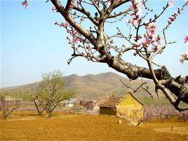 中施家峪村 中施家峪村