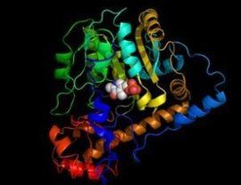 丙氨酸轉氨酶 丙氨酸轉氨酶