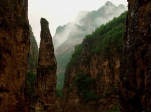 （圖）空中草園