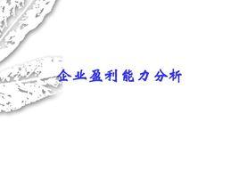 企業盈利能力分析 企業盈利能力分析