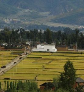 官營自然村 官營自然村